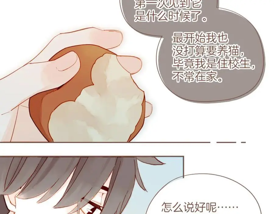 星星不可见漫画,第34话 受伤的话，会很疼吧？（上）2图