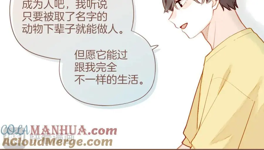 星星不可见漫画,第34话 受伤的话，会很疼吧？（上）2图