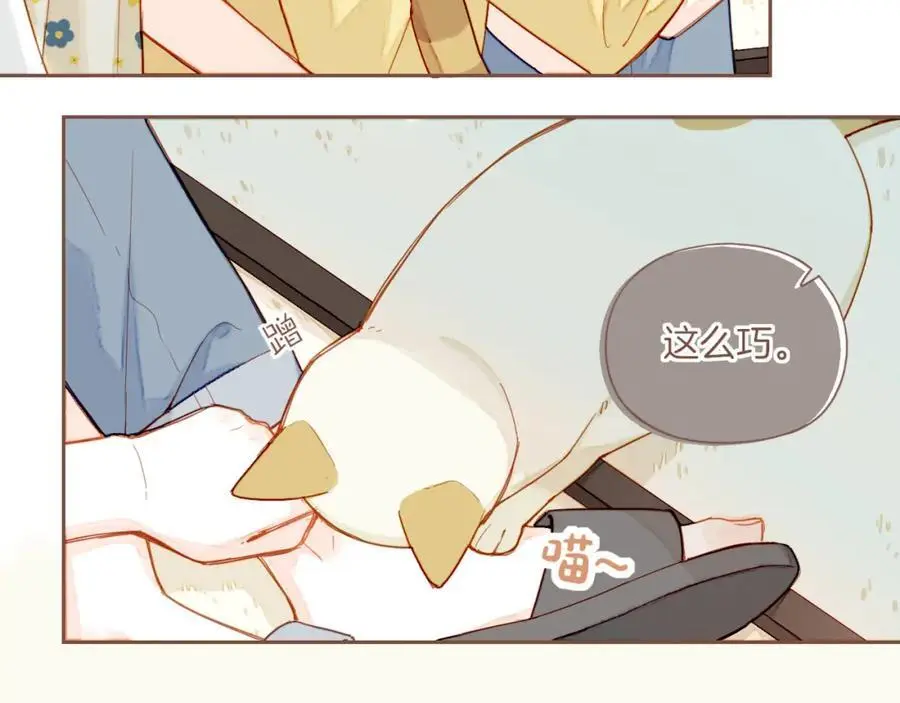 星星不可见漫画,第35话 受伤的话，会很疼吧？（下）1图