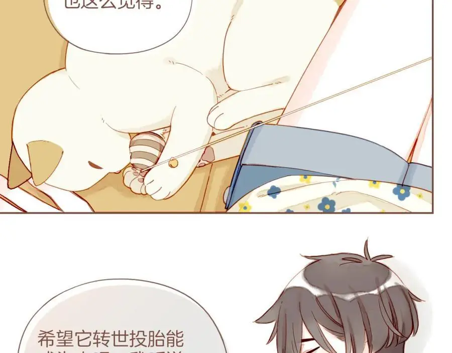 星星不可见漫画,第34话 受伤的话，会很疼吧？（上）1图