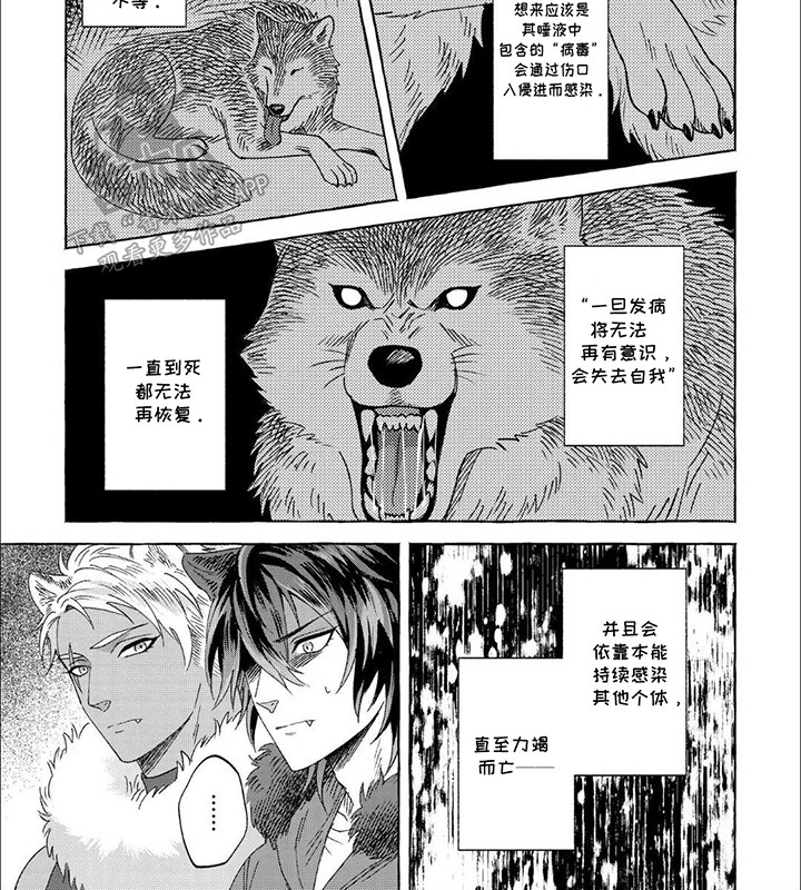 雪豹谜影漫画,第6话4图