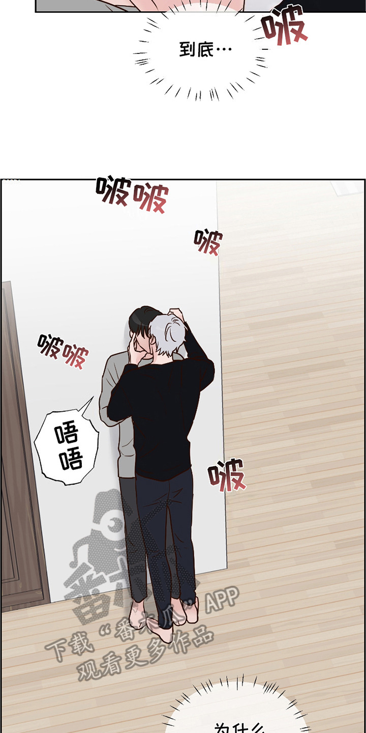 喜欢的牛奶少年漫画,第1话2图