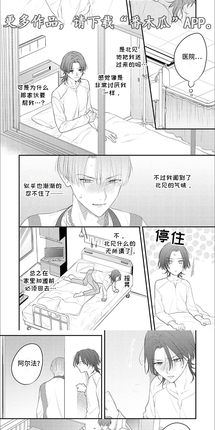 欧米伽的项圈漫画,第4话5图