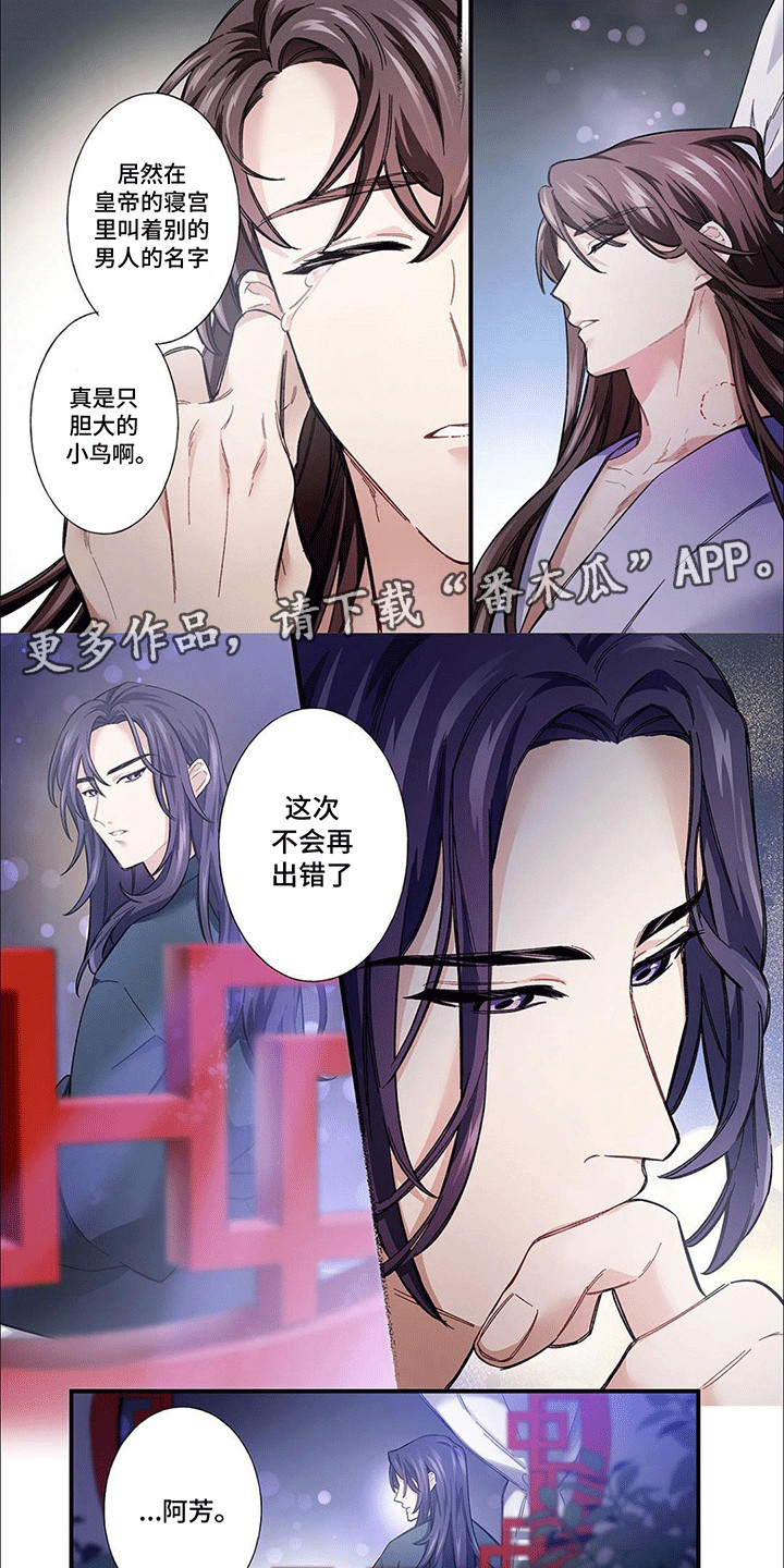 刺客成妃漫画,第4话3图