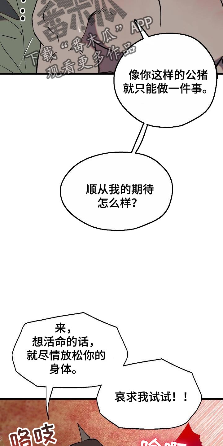 夜吻恶徒漫画,第5话1图