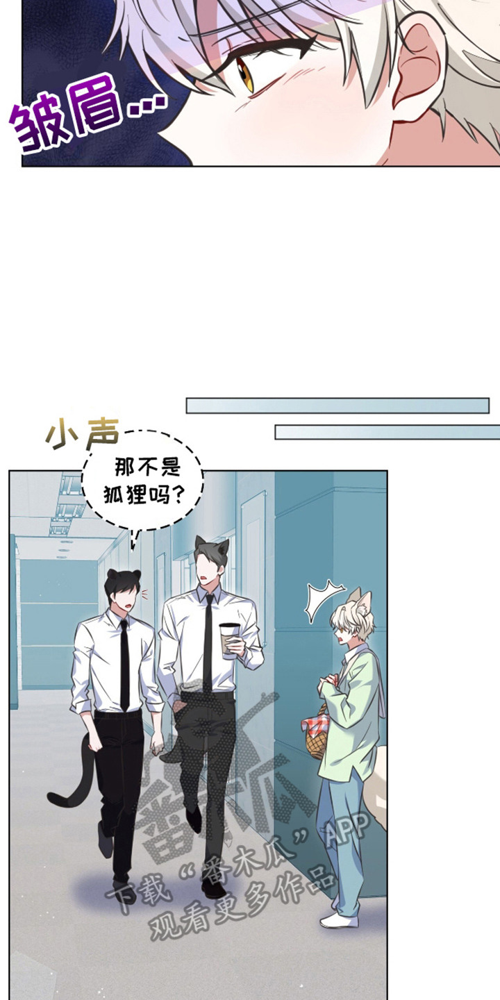 弗林的狐狸饮料漫画,第1话4图