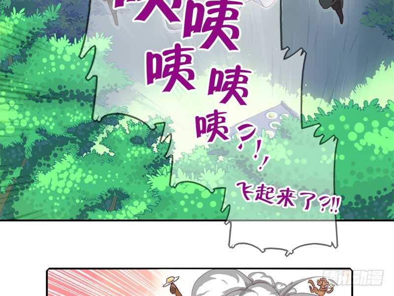 神厨狂后漫画,第28话 林中冒险3图