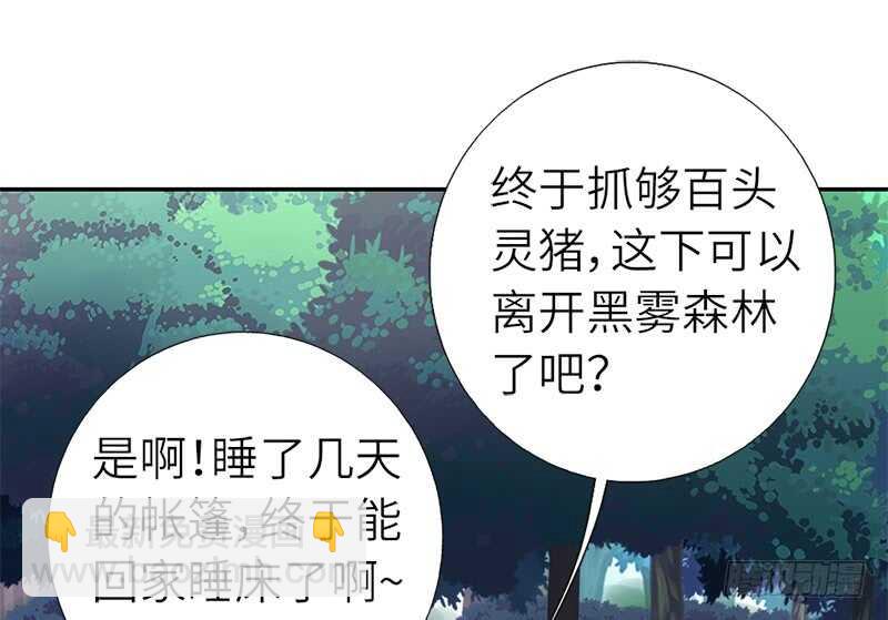 神厨狂后漫画,第33话 抓猪小能手4图