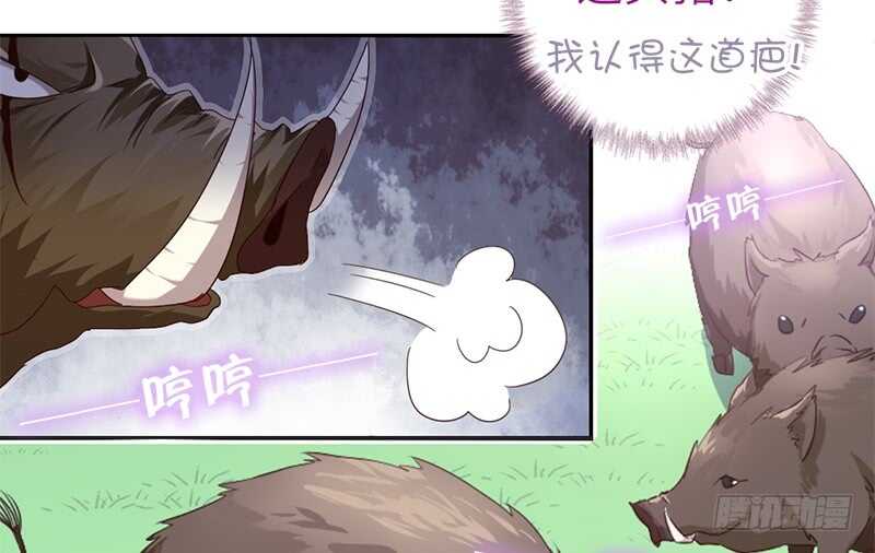 神厨狂后漫画,第31话 都是猪的错3图