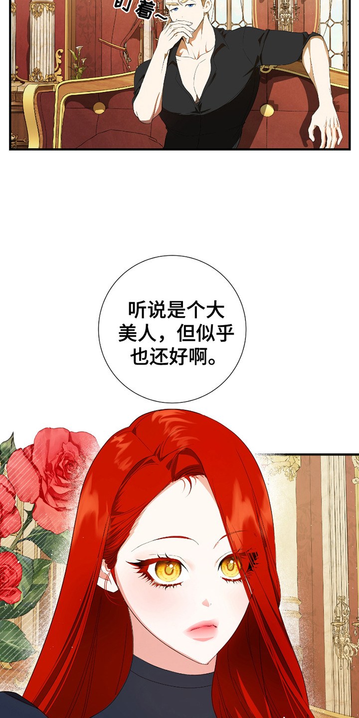 赤发千金特殊契约漫画,第3话5图