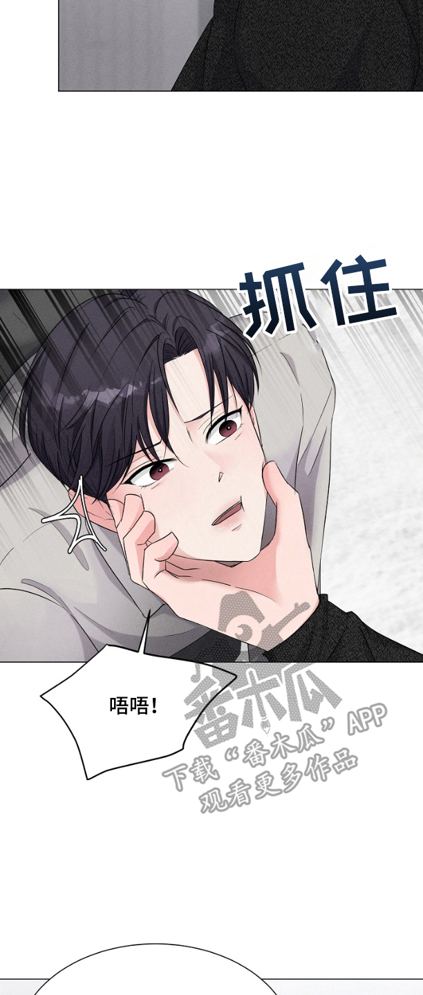 博主搭档漫画,第4话4图