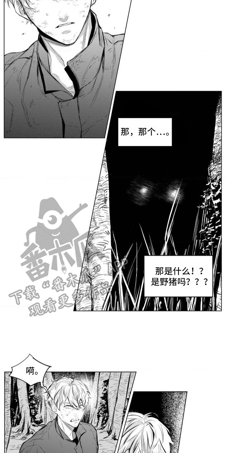 孤独的吸血鬼漫画,第2话5图