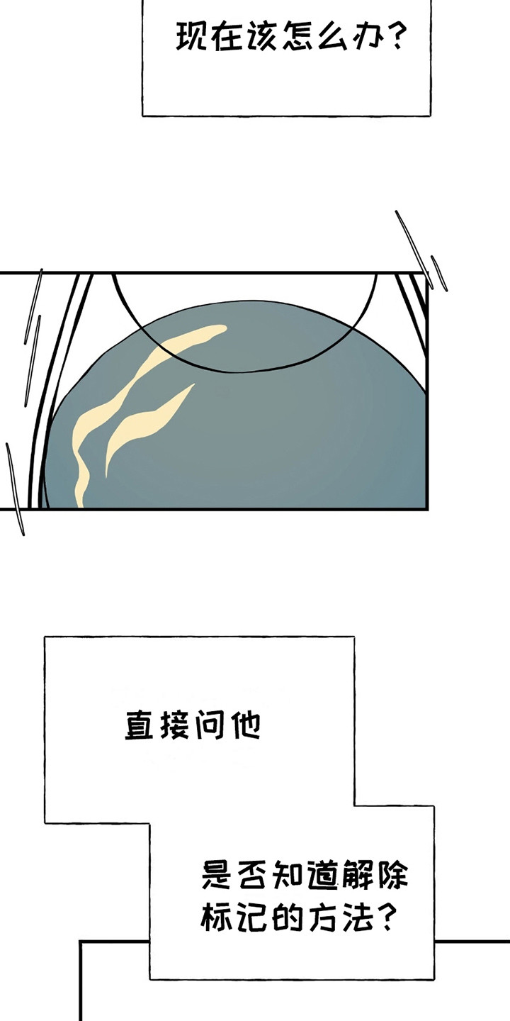 标记掠夺漫画,第4话1图