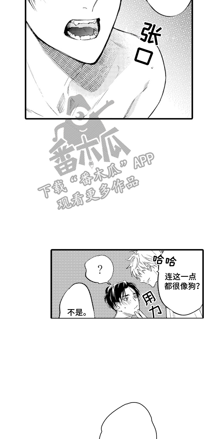 像是狗狗一样漫画,第4话2图