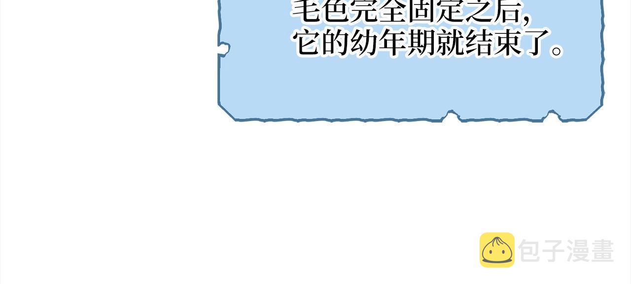 领主大人的金币用不完漫画,第31话 社交之星5图