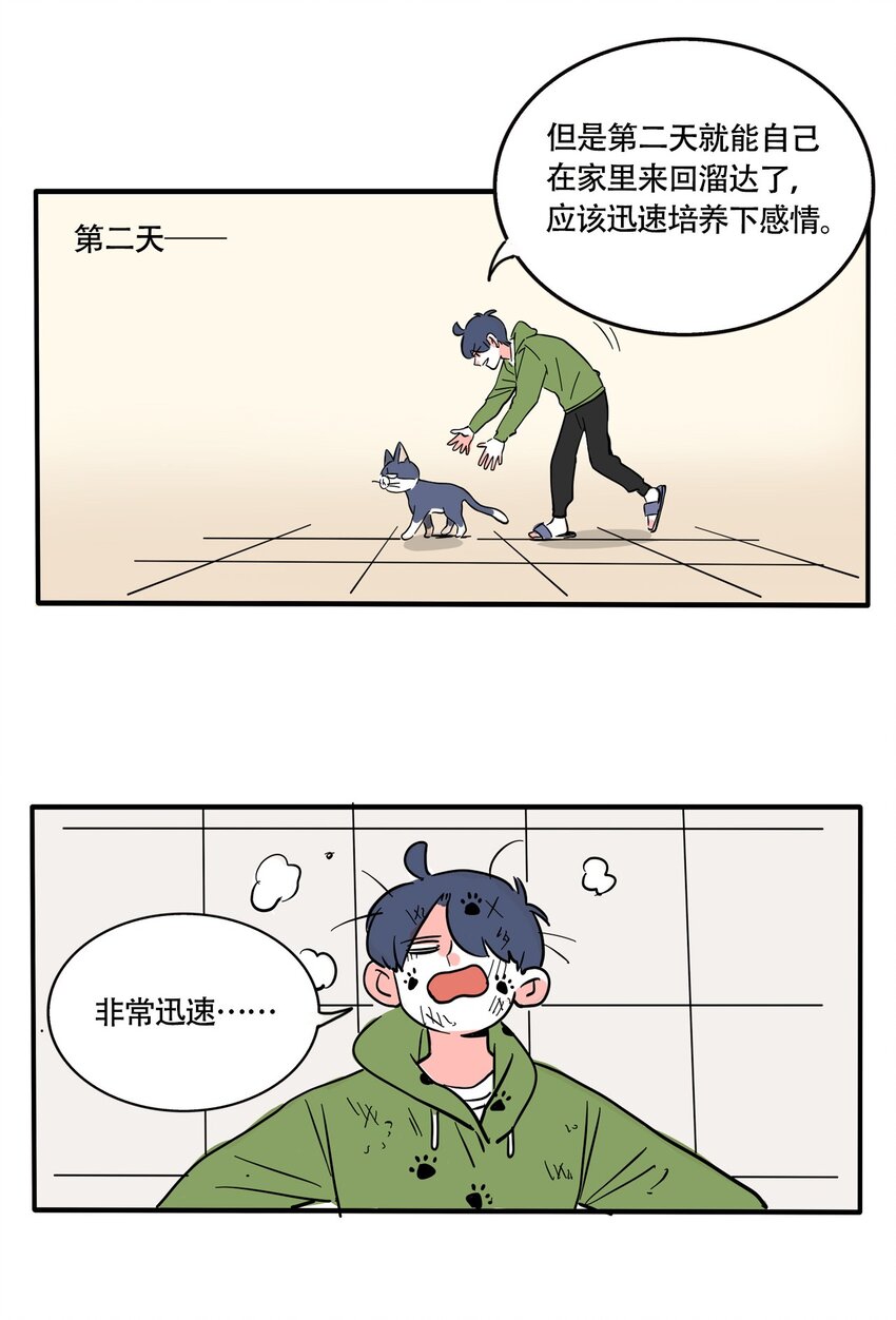 快把我哥带走漫画,321 3211图