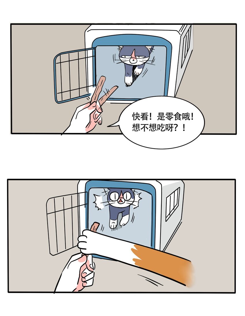 快把我哥带走漫画,321 3214图