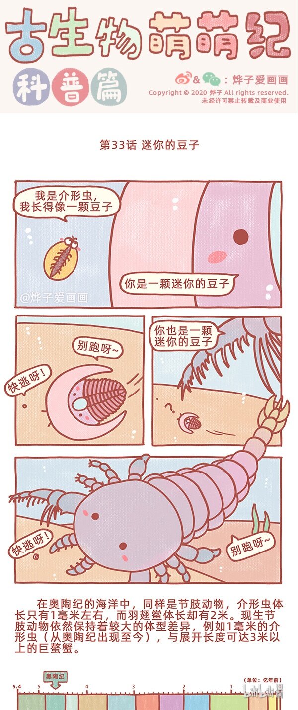 古生物萌萌纪（科普篇）漫画,第33话 迷你的豆子1图