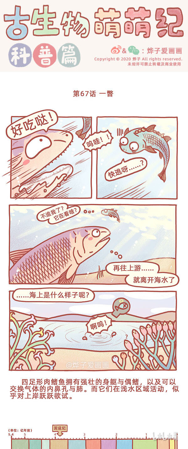 古生物萌萌纪（科普篇）漫画,第67话 一瞥1图