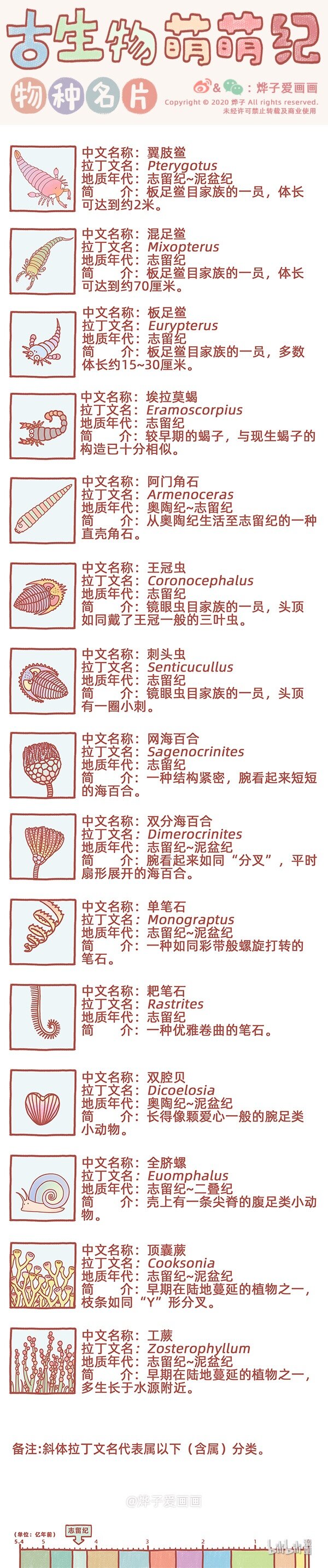 古生物萌萌纪（科普篇）漫画,物种名片 志留纪21图