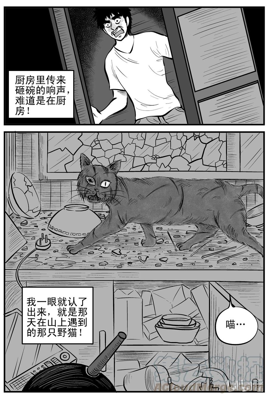 163 猫4