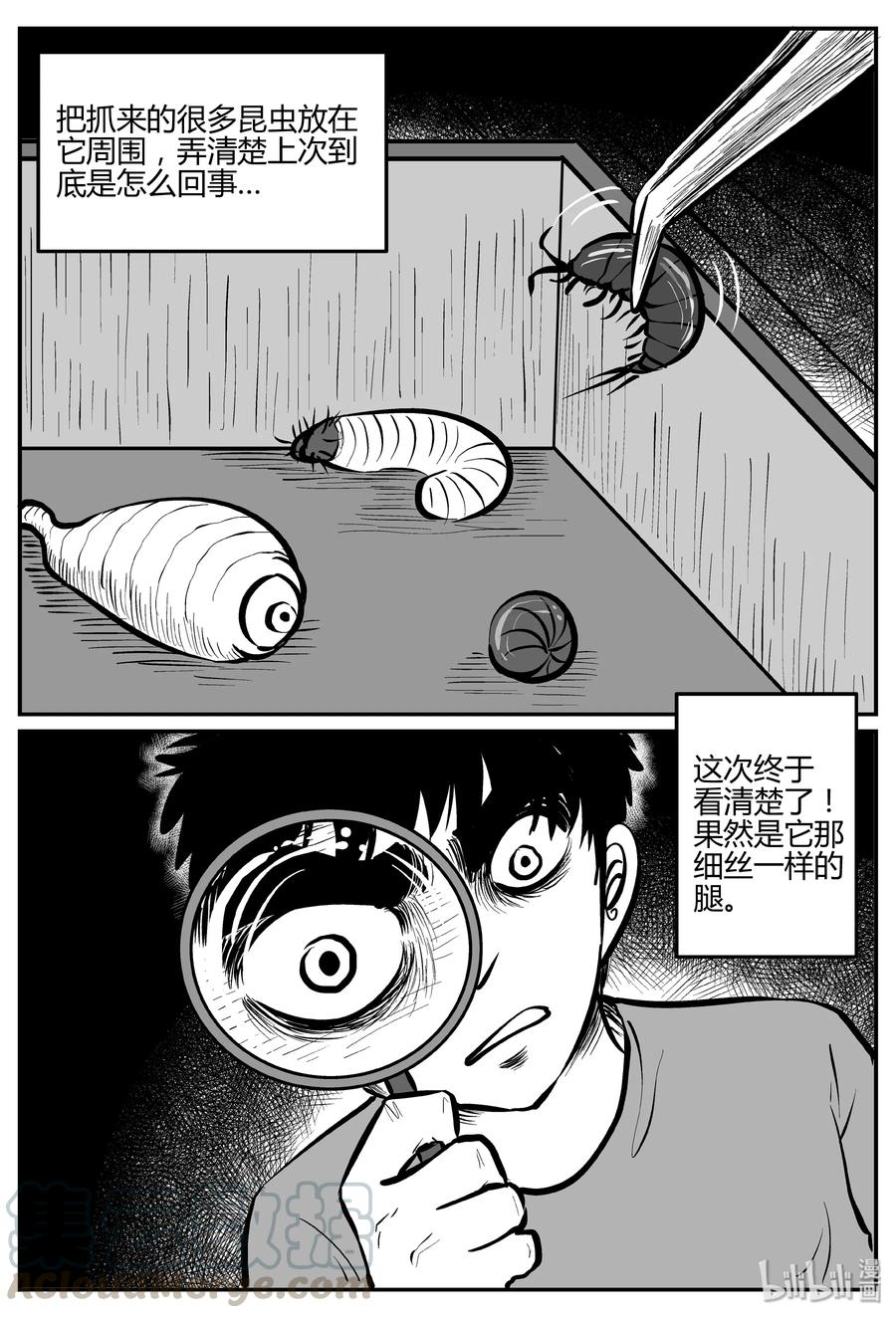 小智怪谈漫画,307 寄生虫（5）3图