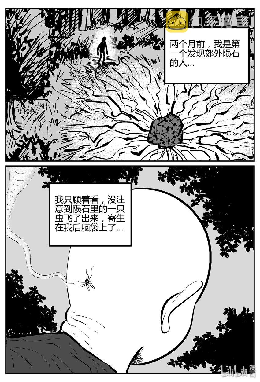 小智怪谈漫画,042 它：蜂群（3）3图