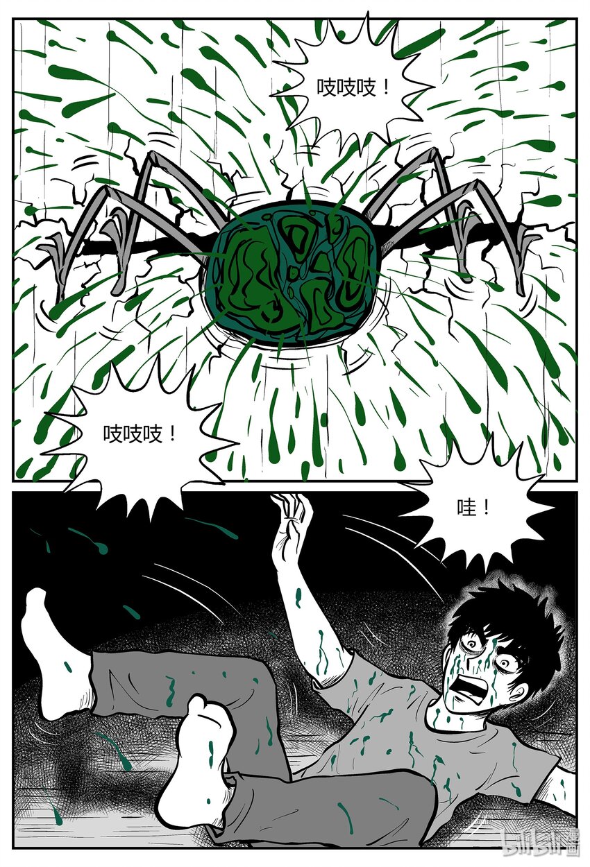 小智怪谈漫画,042 它：蜂群（3）5图