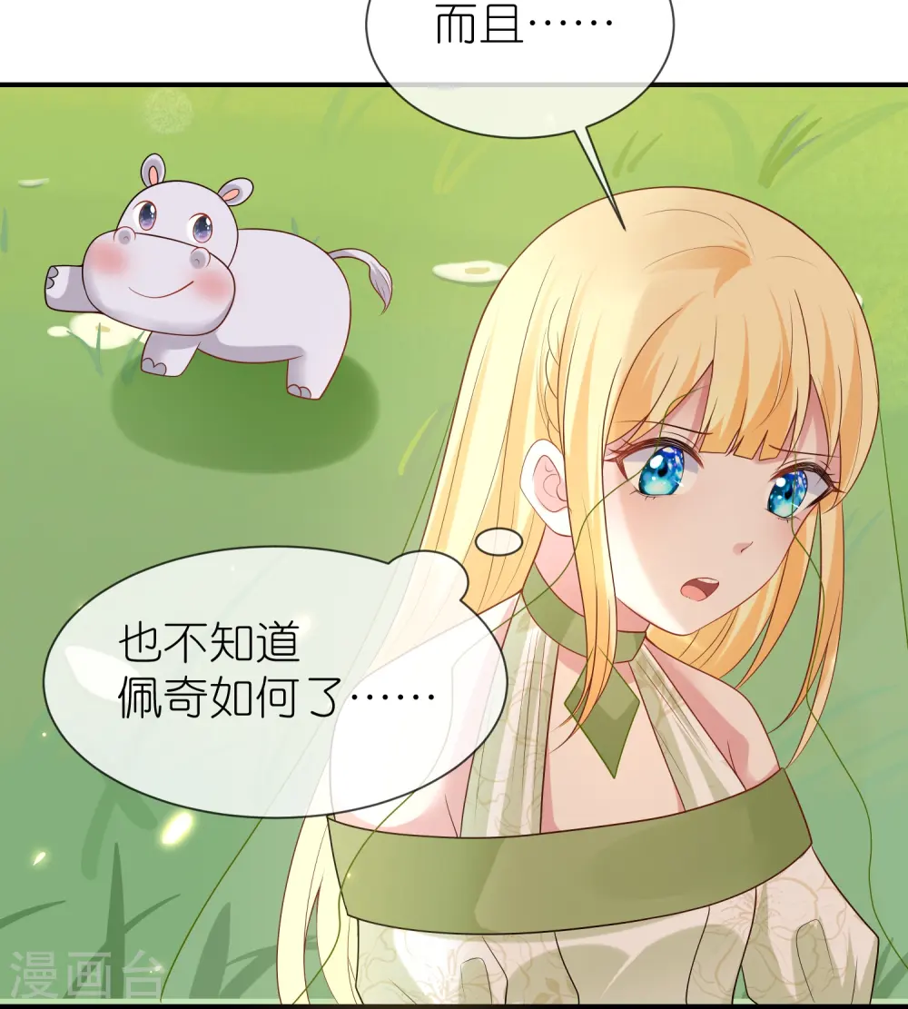 王的第一宠后漫画,第177话 河马佩奇4图