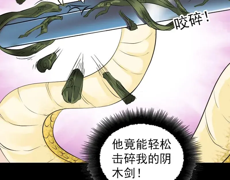 易人奇录漫画,第181话 金对木3图