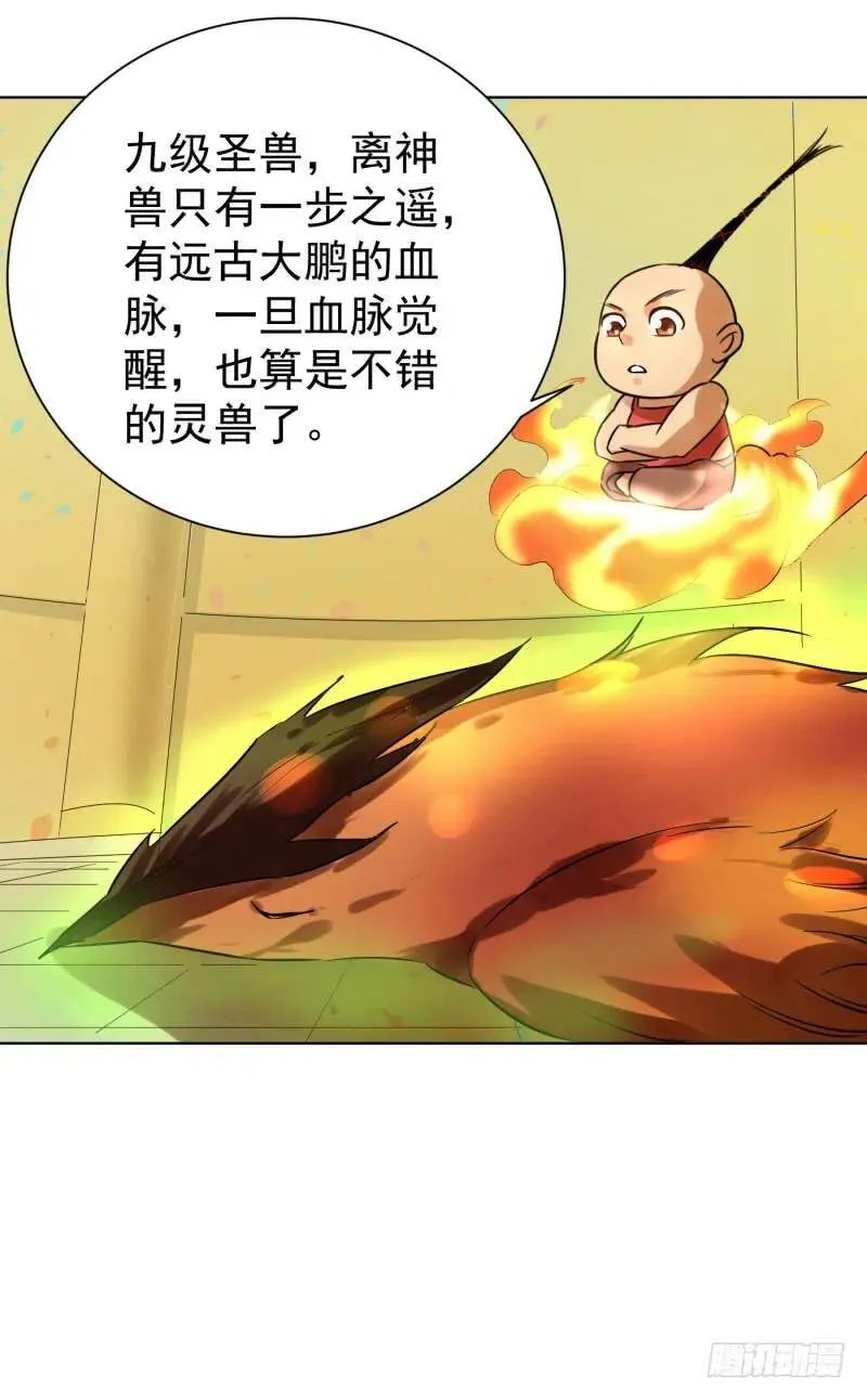 爆宠狂妻之神医五小姐漫画,56.又有新契约兽了？2图