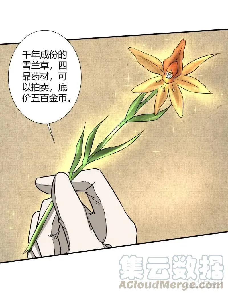 爆宠狂妻之神医五小姐漫画,二品丹药。3图