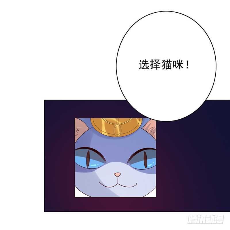 野区老祖漫画,第97话：恐怖的猫咪1图