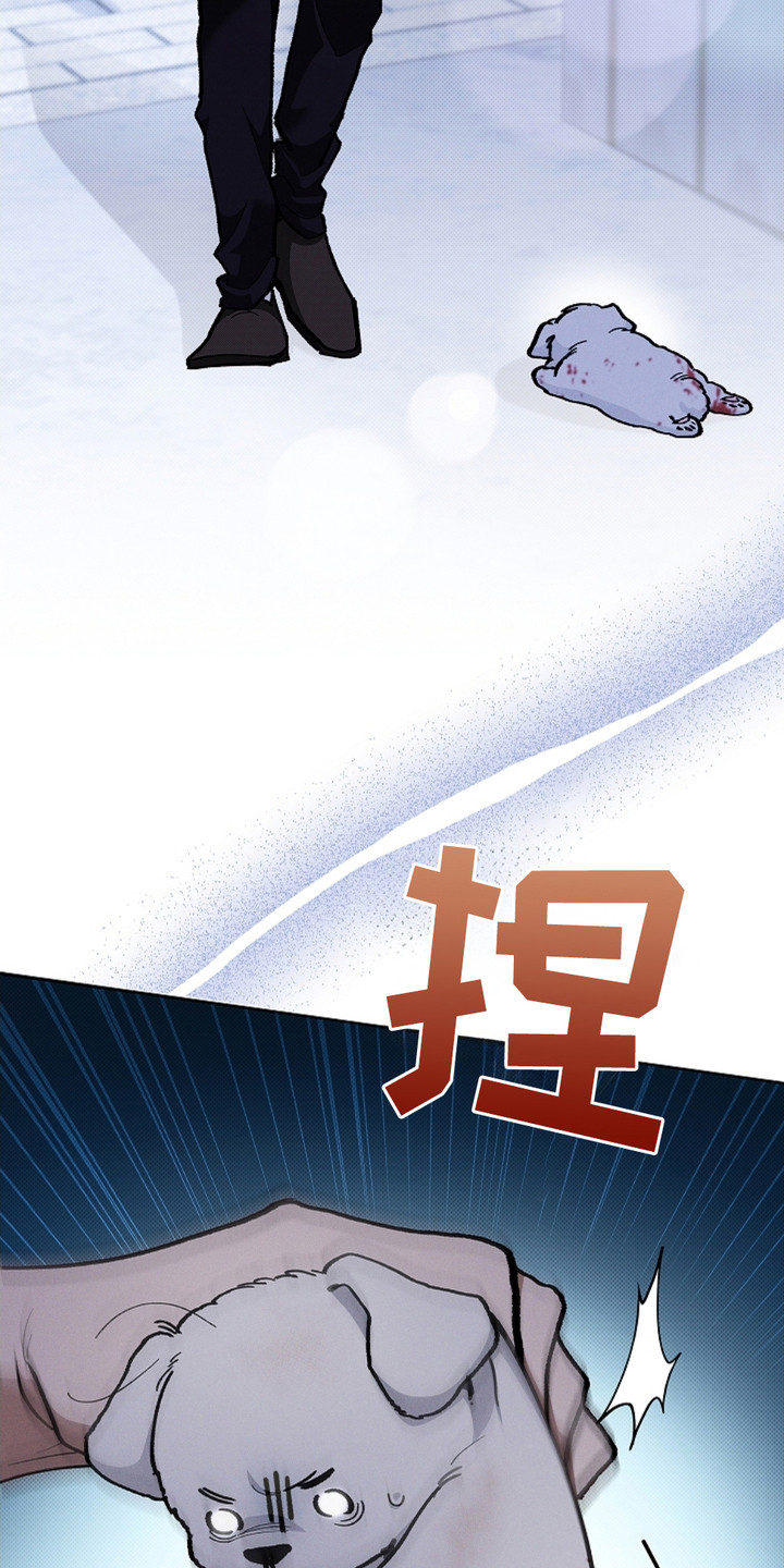 小白狗奇遇记漫画,第9话1图