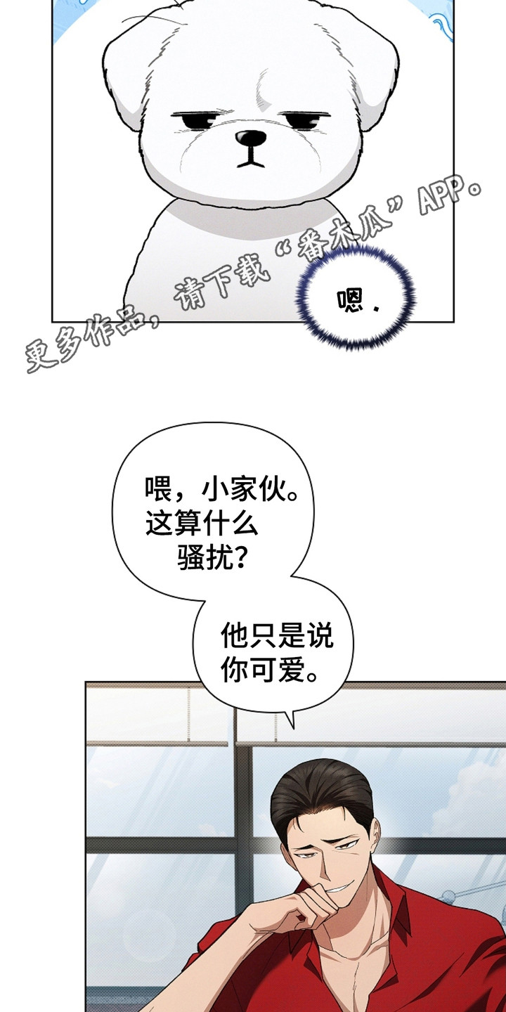 小白狗奇遇记漫画,第4话1图