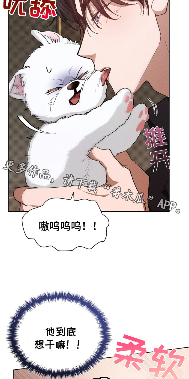 小白狗奇遇记漫画,第4话5图