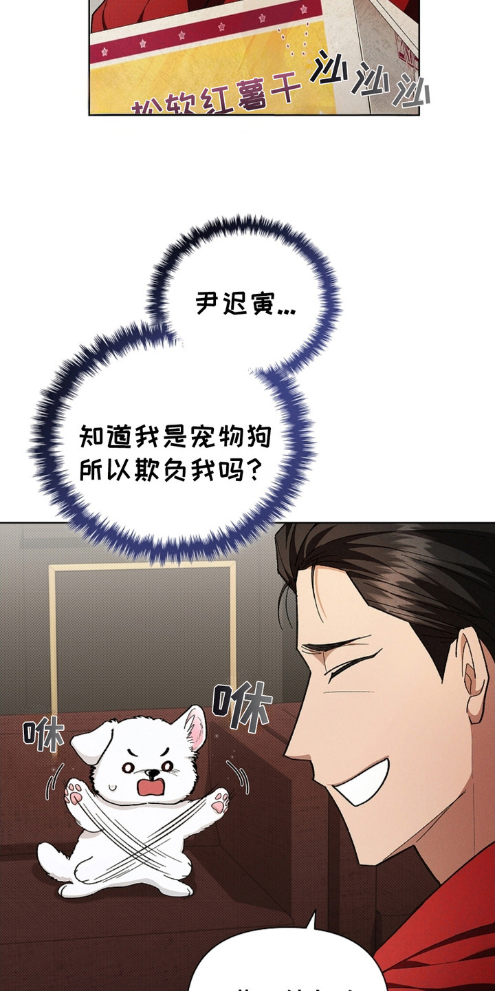 小白狗奇遇记漫画,第4话1图