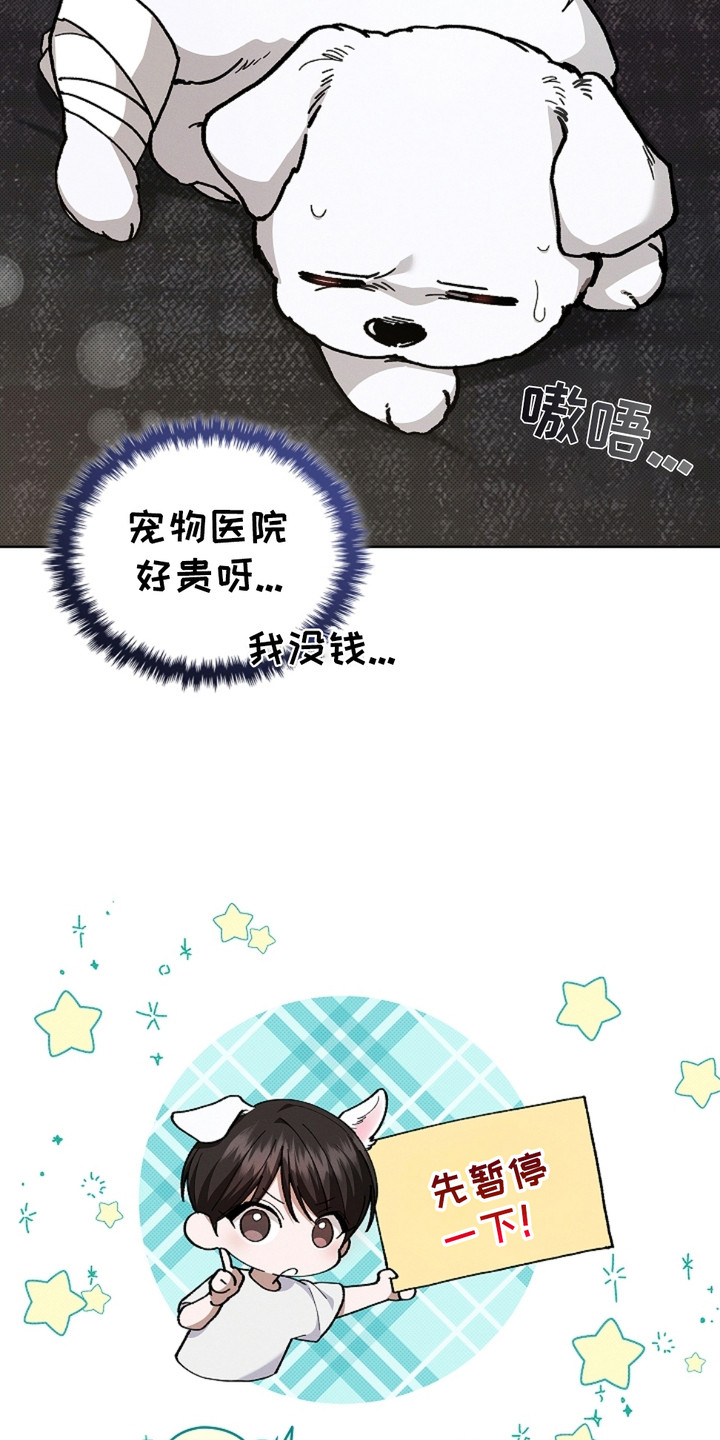 小白狗奇遇记漫画,第10话1图