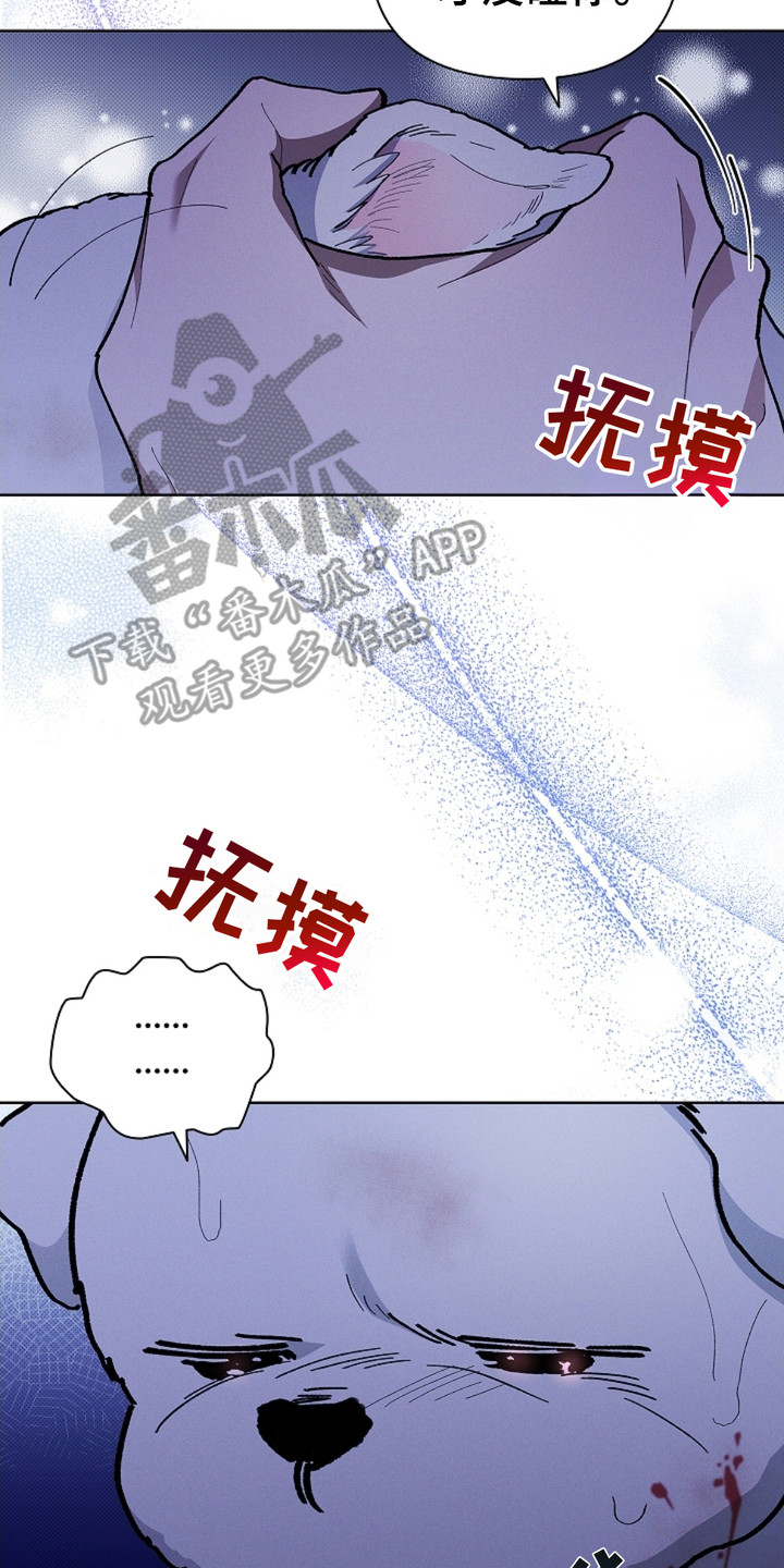 小白狗奇遇记漫画,第10话2图