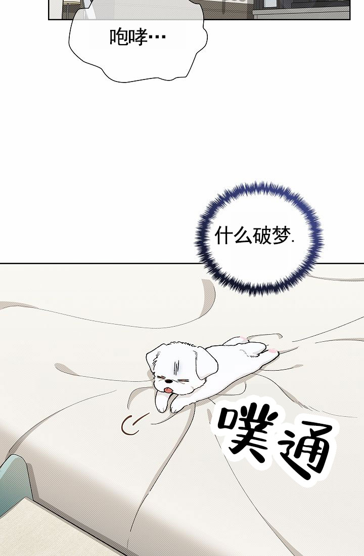 不要招惹小狗漫画,第1话3图