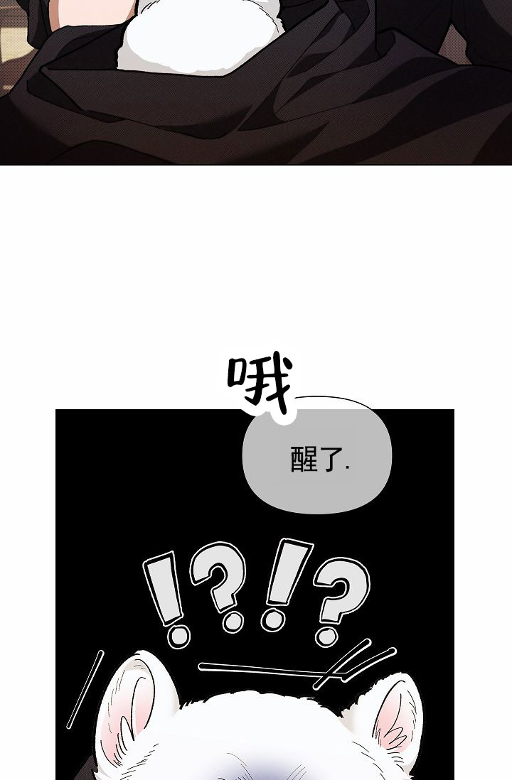 不要招惹小狗漫画,第2话5图