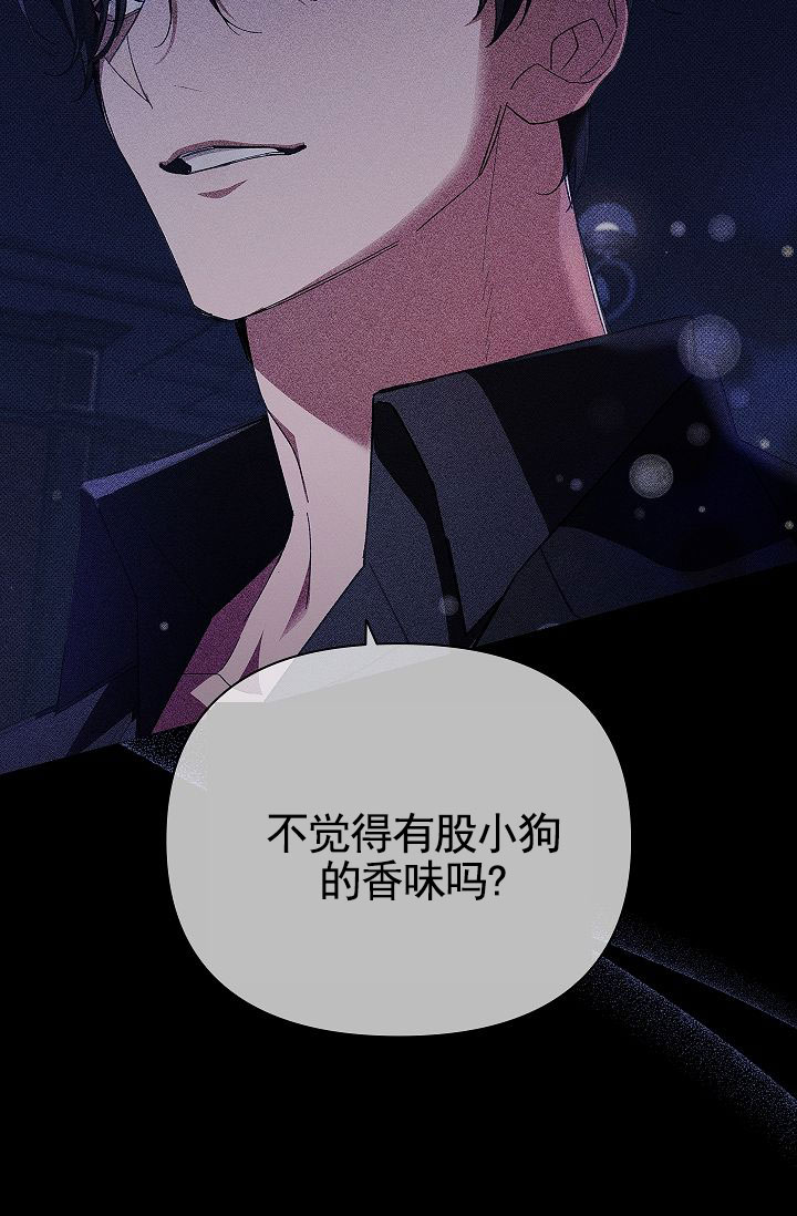 不要招惹小狗漫画,第3话2图