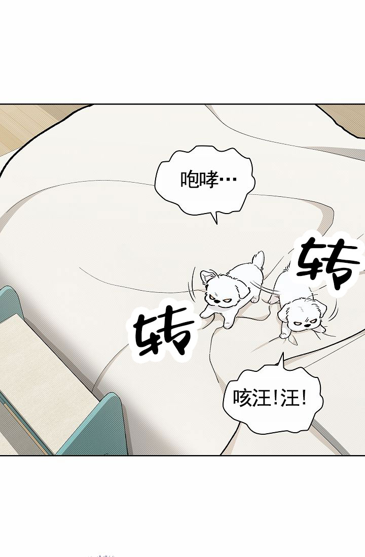 不要招惹小狗漫画,第1话1图