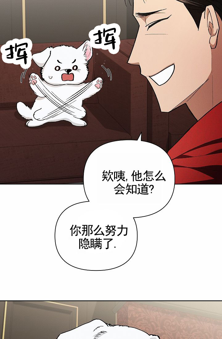 不要招惹小狗漫画,第3话3图