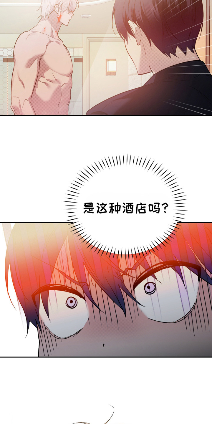 我的小笨熊漫画,第4话4图