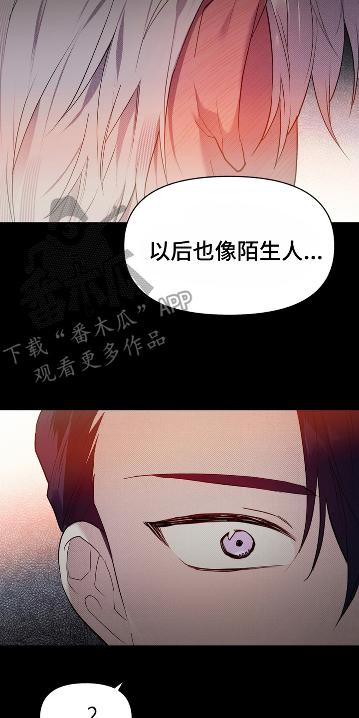 我的小笨熊漫画,第8话3图