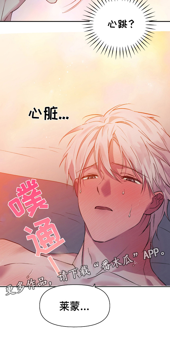 我的小笨熊漫画,第10话5图