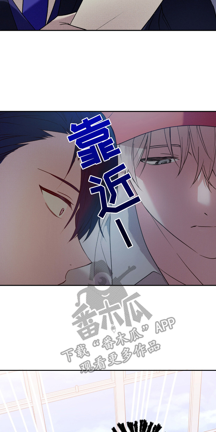 我的小笨熊漫画,第7话3图