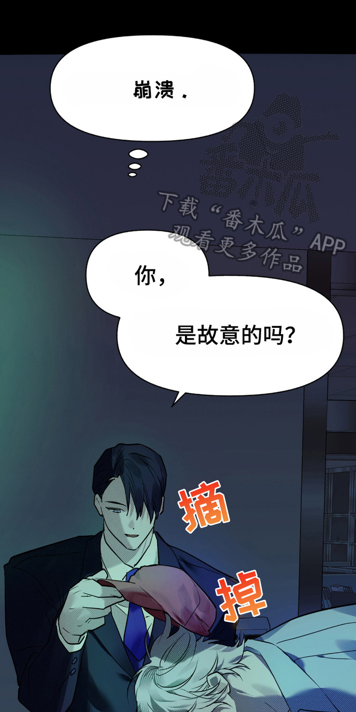 我的小笨熊漫画,第8话2图