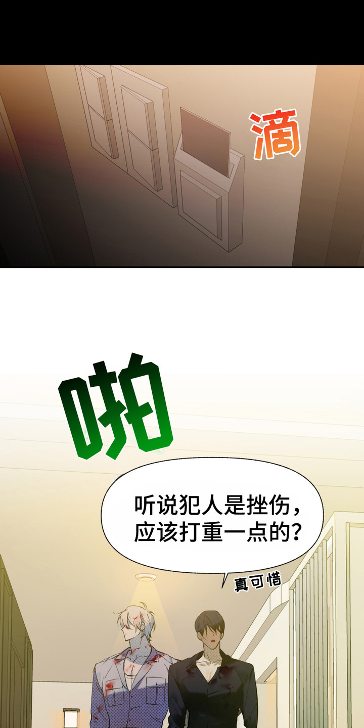 我的小笨熊漫画,第3话1图